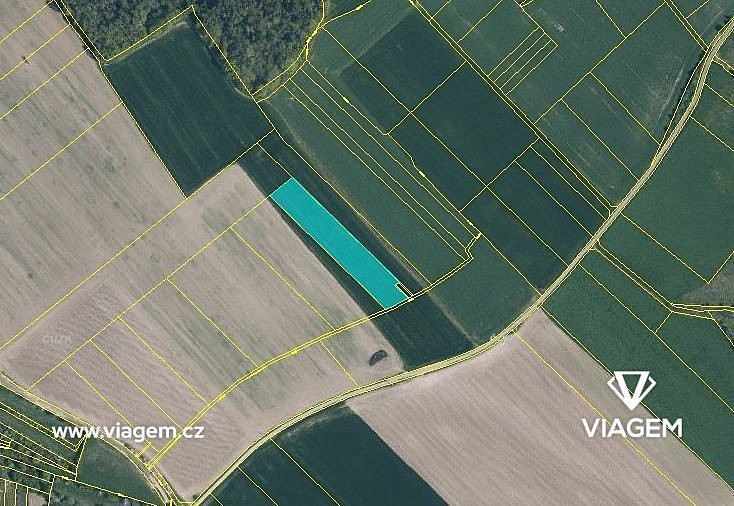 Prodej pole 948 m² – fotografie 3
