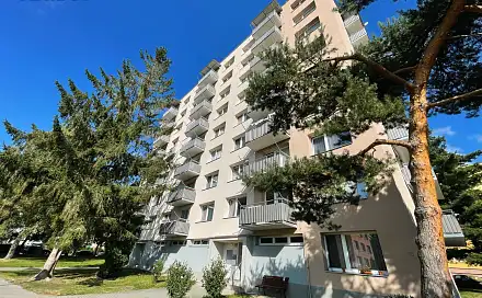 Pronájem bytu 1+1 40 m², třída Přátelství, Písek - Budějovické Předměstí