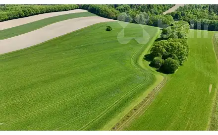 Pronájem pole 11 105 m²