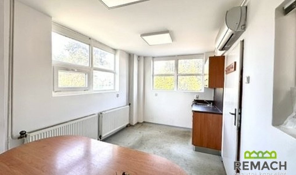 Pronájem skladovacích prostor 469 m², Moravský Písek – náhled fotky 6