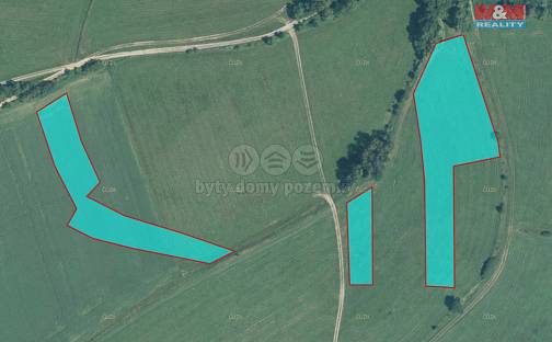 Prodej louky 12 989 m², Pržno, okres Vsetín
