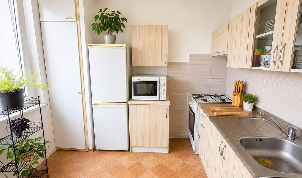 Prodej bytu 1+1 45 m², Brno – náhled fotky 2