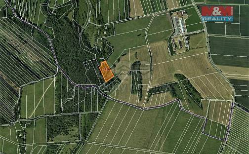 Prodej louky 4 646 m², Borotín, okres Blansko