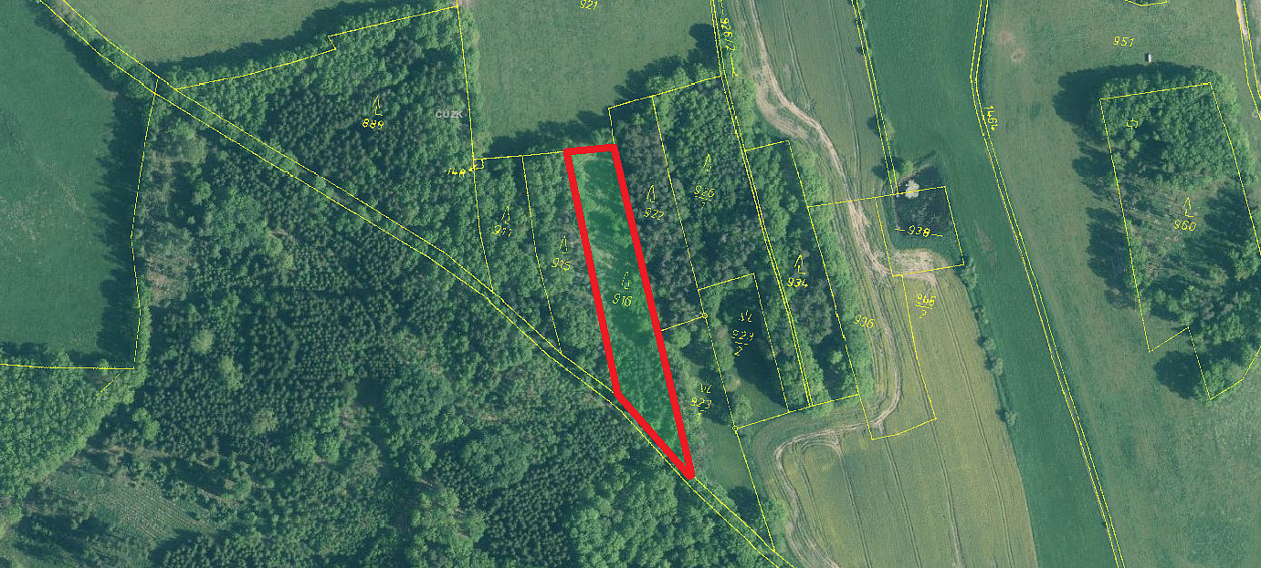 Prodej lesa 5 564 m²