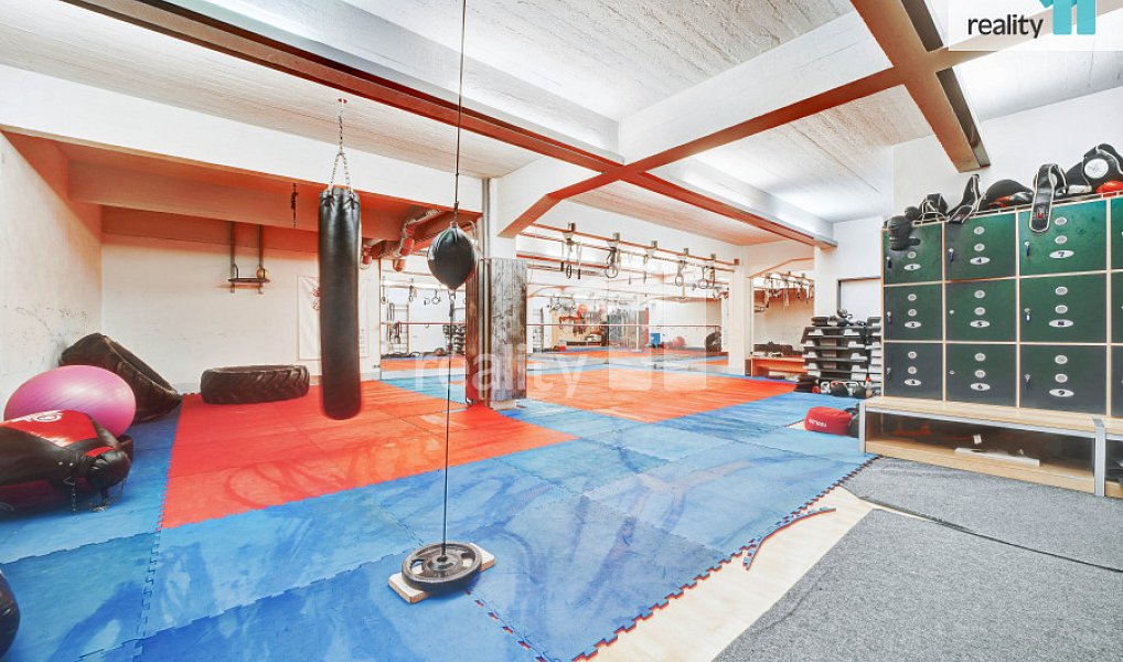Prodej komerčního objektu (jiného typu) 4 196 m², Napajedla – náhled fotky 6