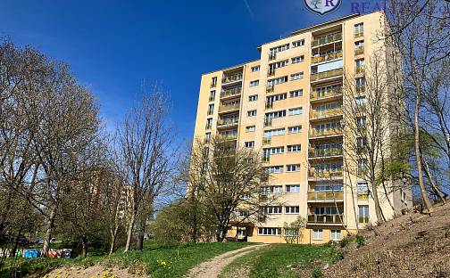 Prodej bytu 3+1 74 m², Plzeňská, Příbram - Příbram I