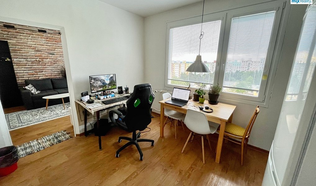 Pronájem bytu 1+1 39 m², Plzeň – náhled fotky 9