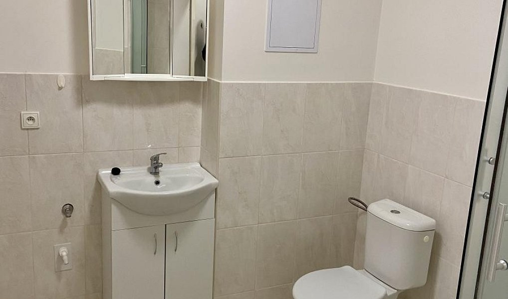 Pronájem bytu 1+kk 30 m², Ivanovice na Hané – náhled fotky 7