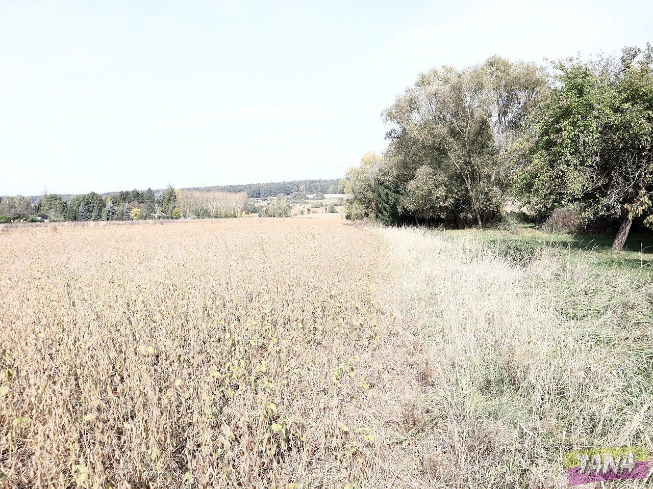 Prodej pole 27 614 m² – fotografie 4