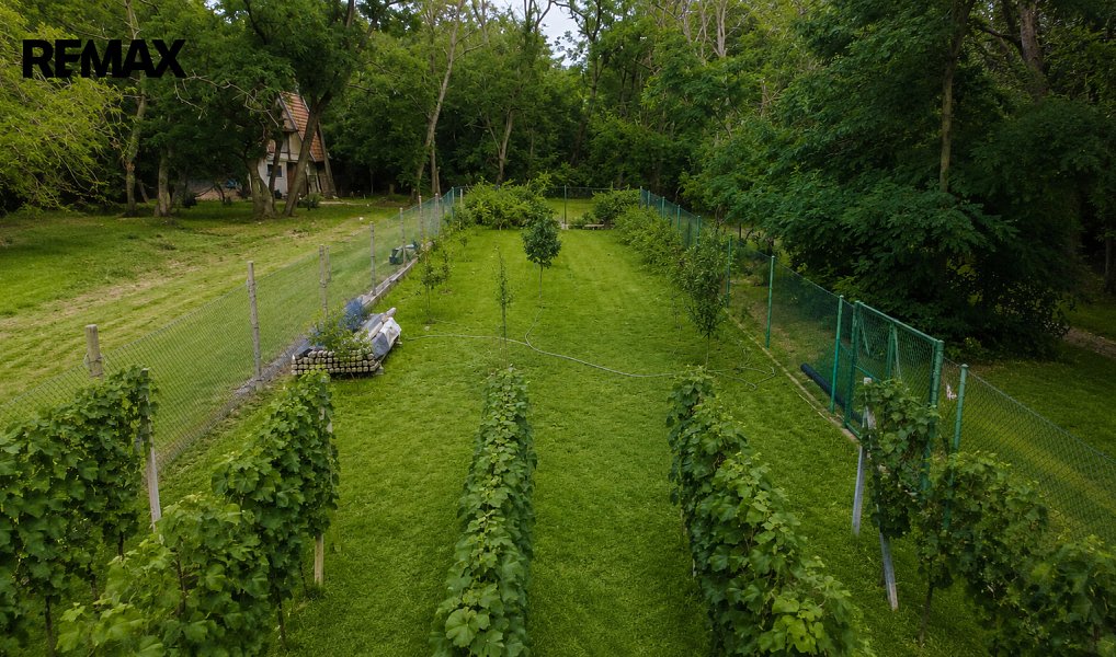 Prodej zahrady 1 560 m², Břeclav – náhled fotky 6