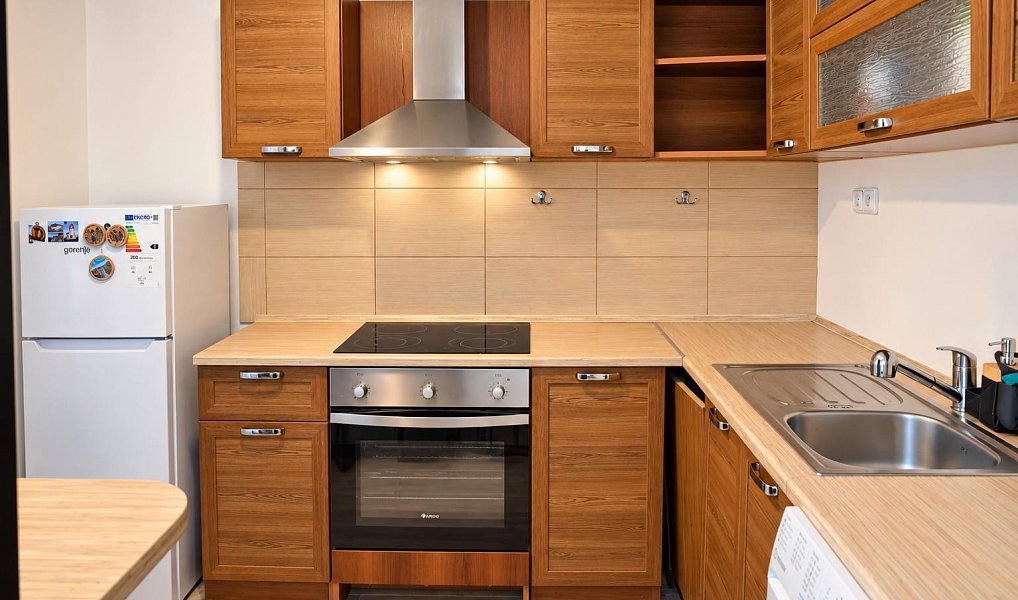 Pronájem bytu 2+1 45 m², Orlová – náhled fotky 2