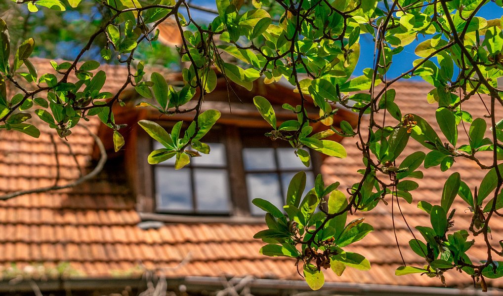 Prodej domu 160 m² s pozemkem 927 m², Malečov – náhled fotky 4