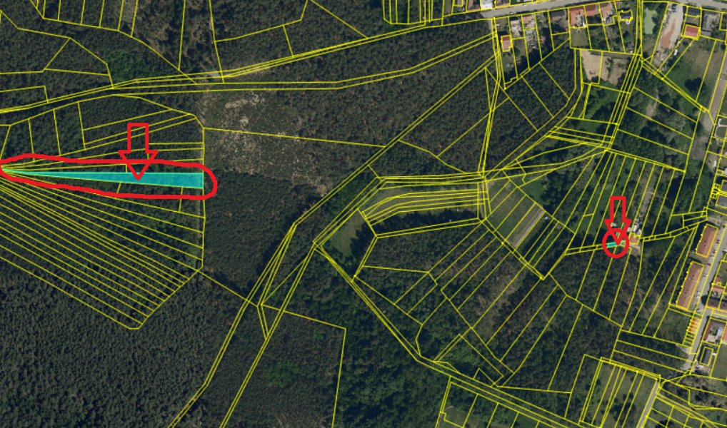 Prodej lesa 3 963 m², Vacenovice – náhled fotky 7