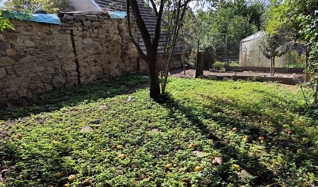 Prodej domu 181 m² s pozemkem 357 m², Strmilov – náhled fotky 9