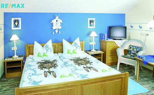 Prodej bytu 1+kk 23 m², Cham, Oberpfalz, Německo