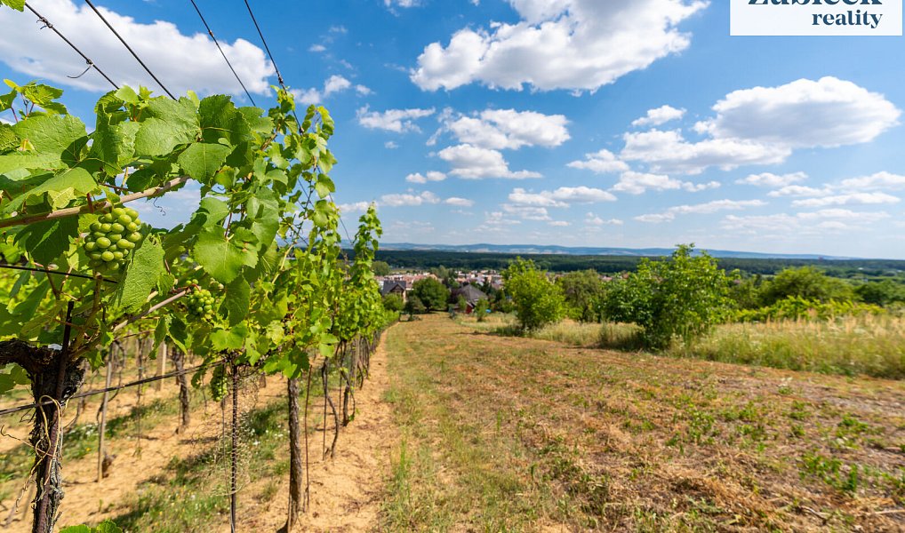 Prodej stavebního pozemku 2 654 m², Bzenec – náhled fotky 5