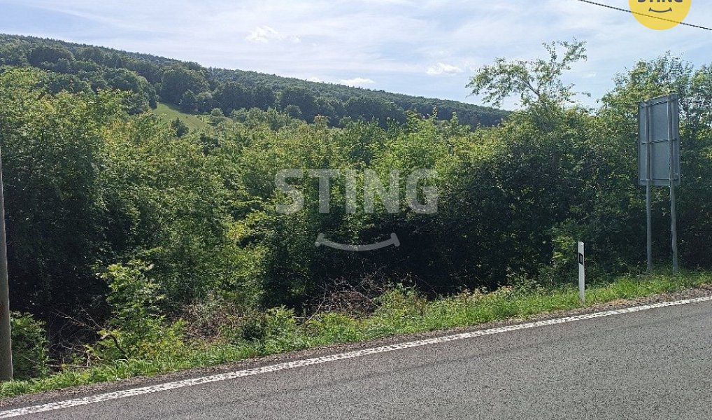 Prodej stavebního pozemku 3 693 m², Radějov – náhled fotky 8