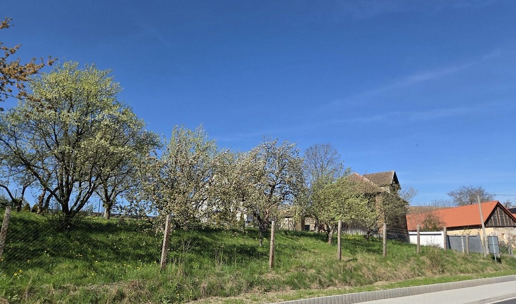 Prodej stavebního pozemku 960 m², Holetín – náhled fotky 9