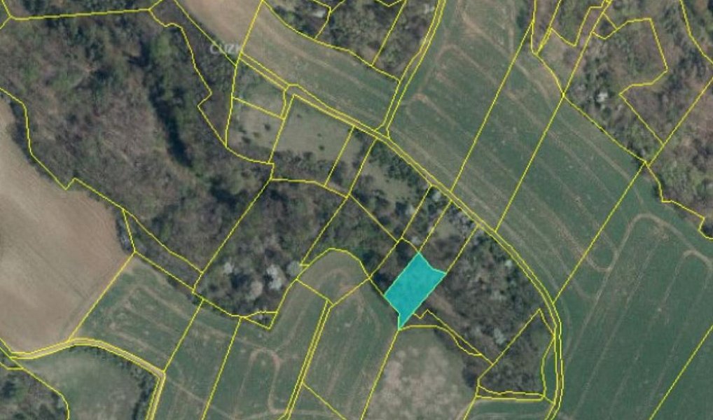 Prodej lesa 2 782 m², Drnovice – náhled fotky 9