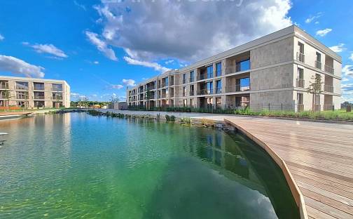 Pronájem bytu 1+kk 42 m², Dřevčická, Brandýs nad Labem-Stará Boleslav - Brandýs nad Labem, okres Praha-východ