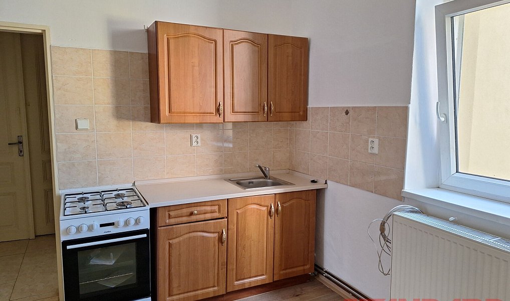 Pronájem bytu 1+1 45 m², Plzeň – náhled fotky 2
