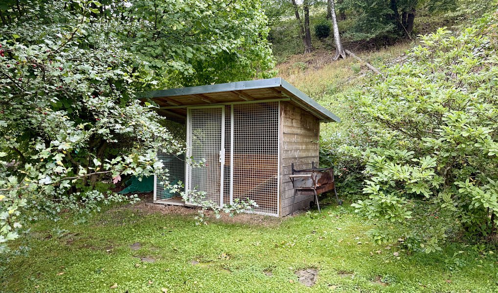 Prodej domu 240 m² s pozemkem 1 494 m², Bělá pod Pradědem – náhled fotky 40
