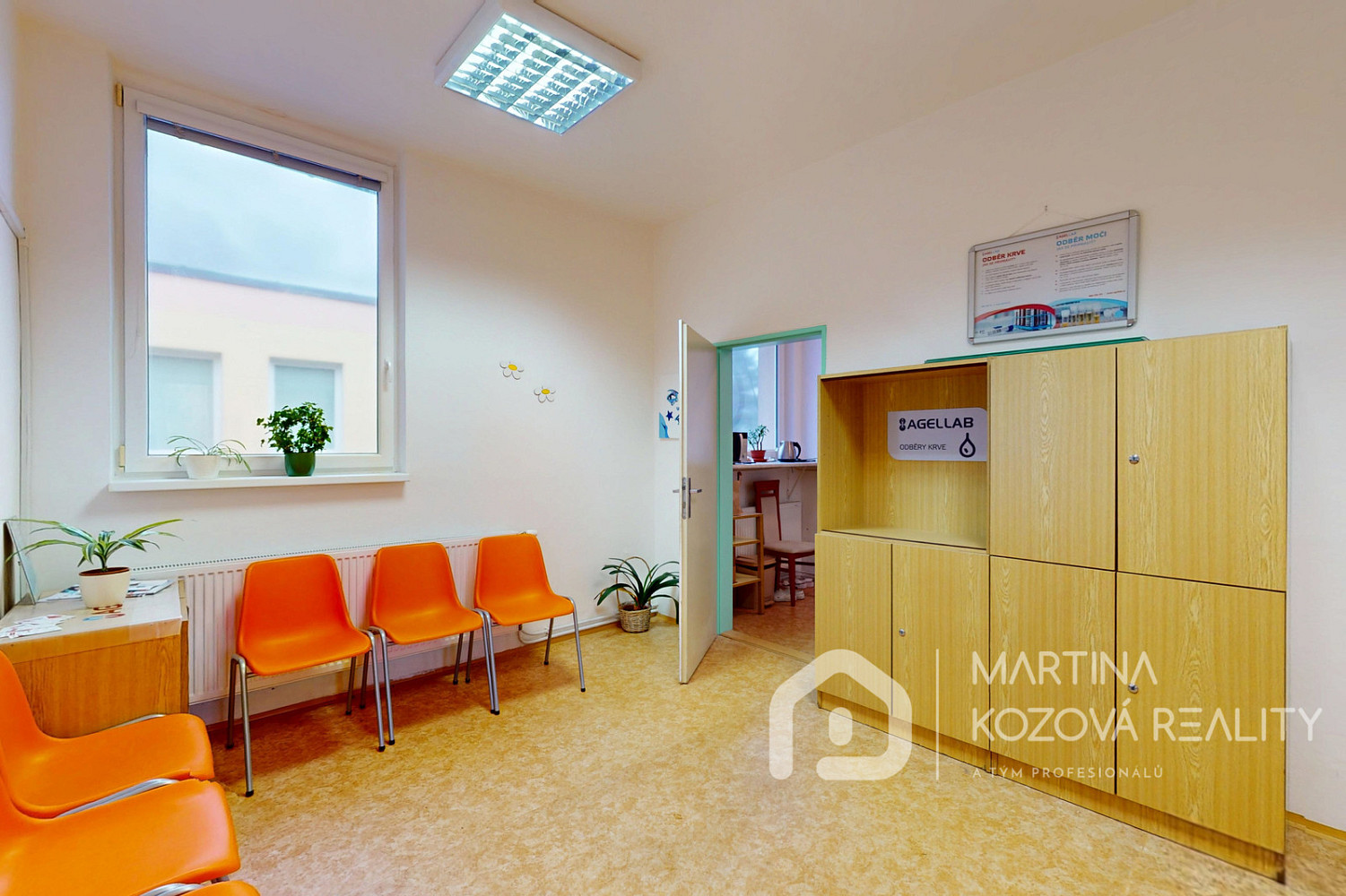 Prodej komerčního objektu (jiného typu) 397 m² - More