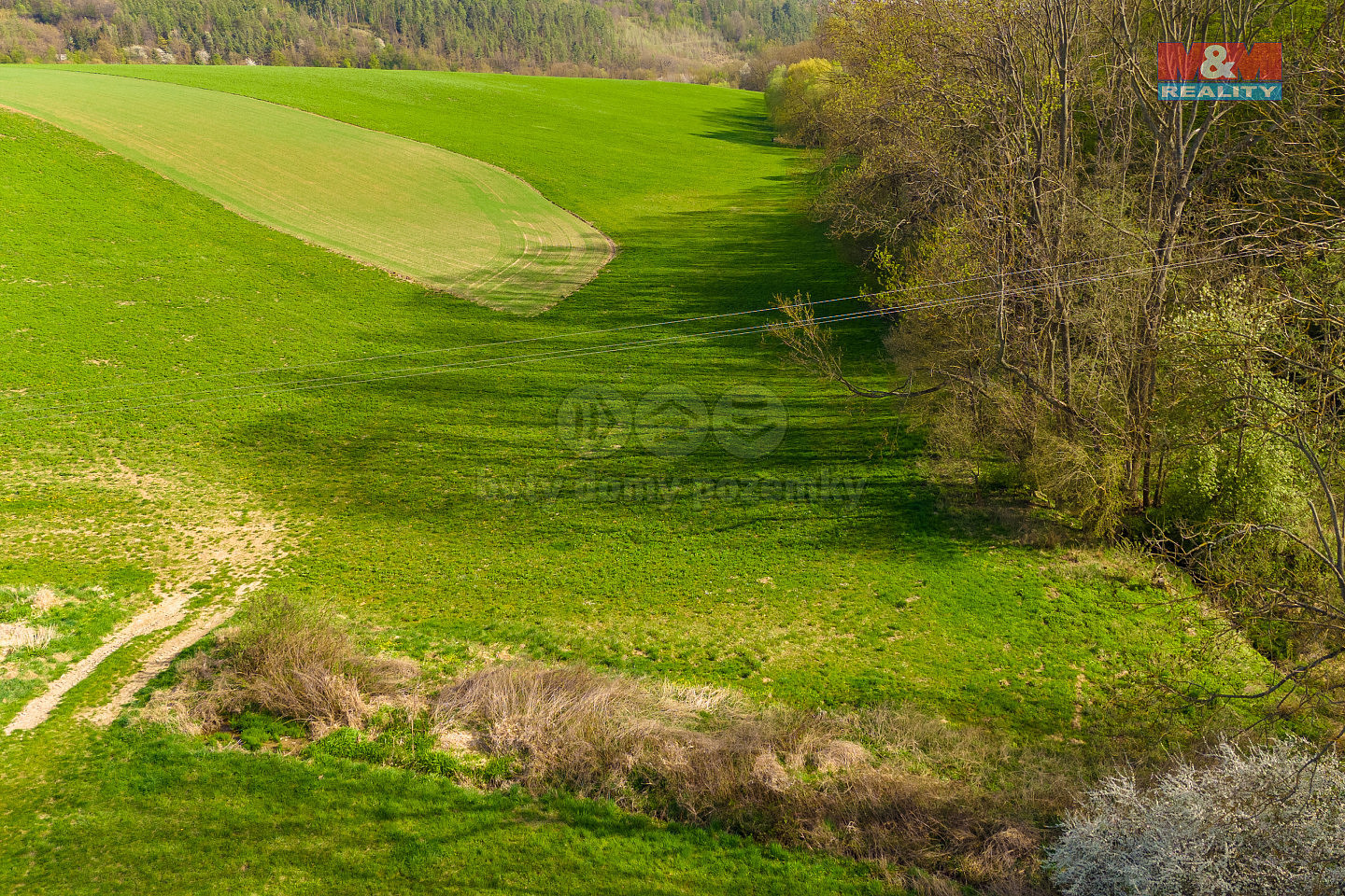 Prodej pole 4 100 m²