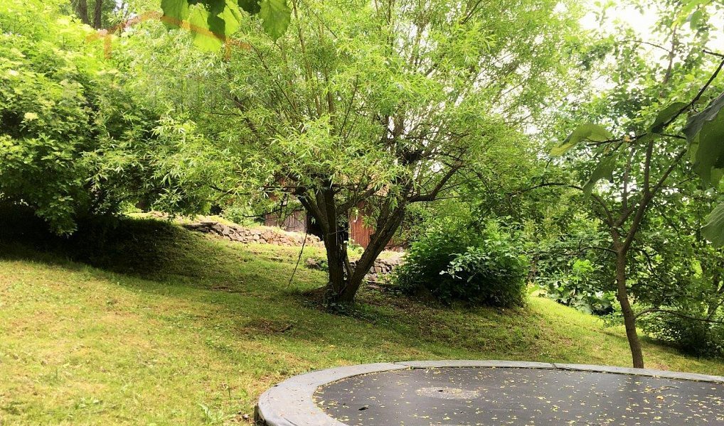 Prodej domu 180 m² s pozemkem 22 729 m², Benešov u Semil – náhled fotky 8