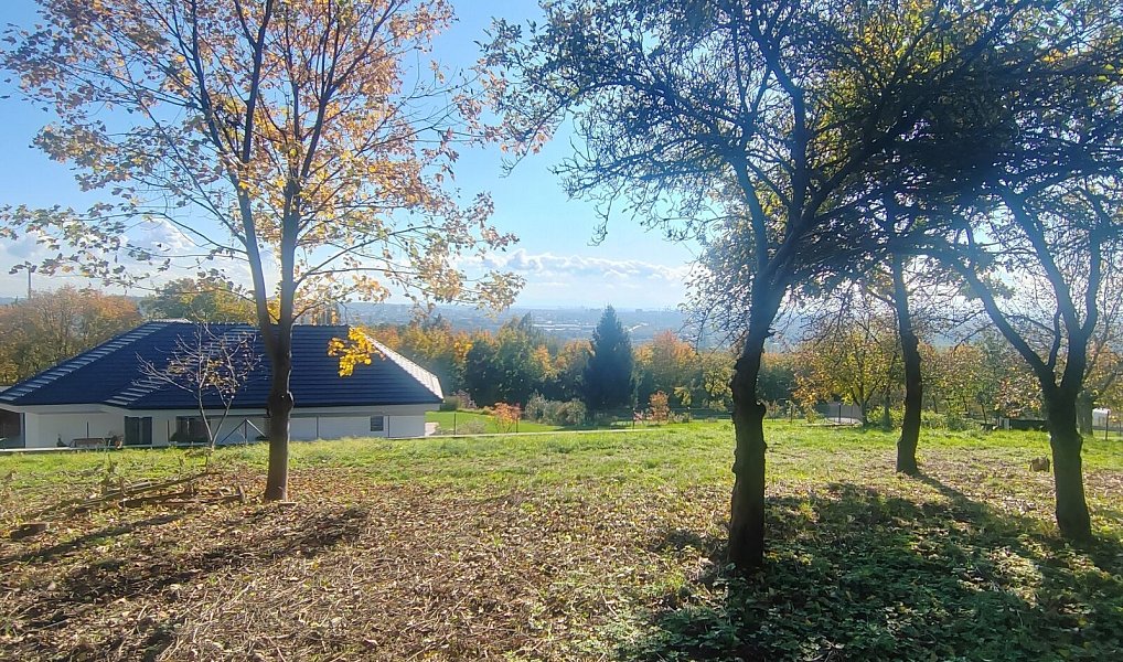 Prodej stavebního pozemku 3 646 m², Ostrava – náhled fotky 9