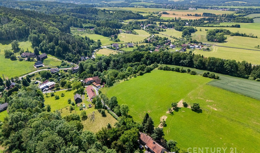 Prodej louky 11 026 m², Holenice – náhled fotky 4