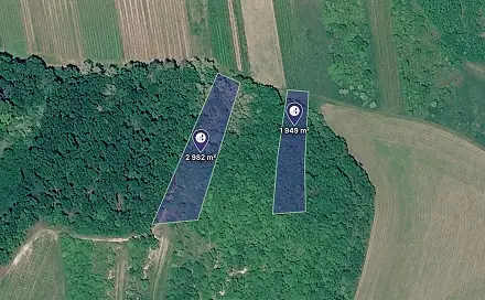 Ostatní