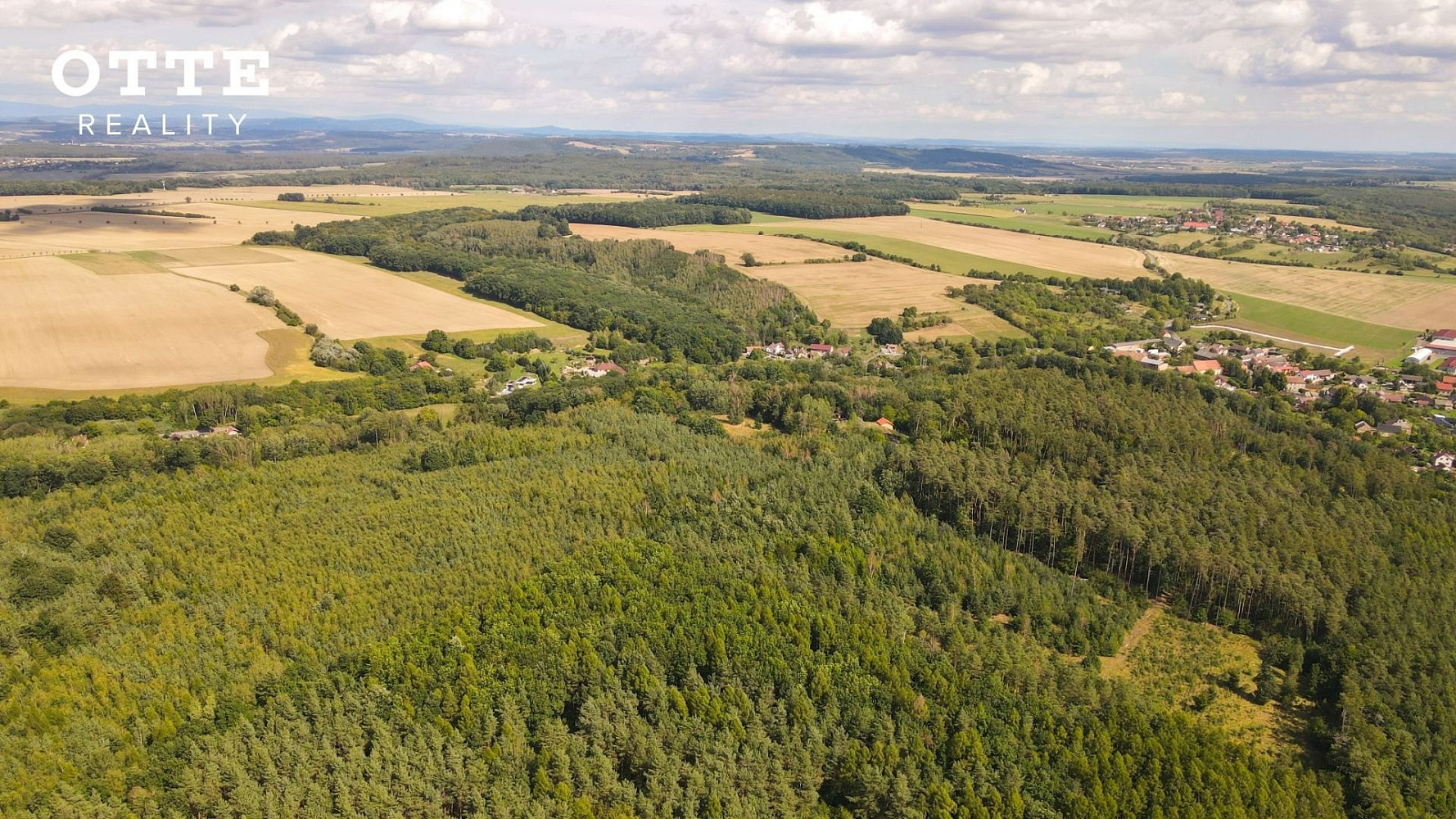 Prodej lesa 985 653 m² – fotografie 5