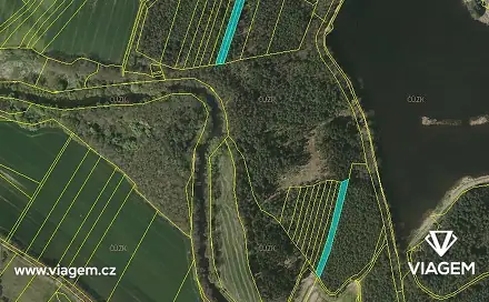 Prodej lesa 3 880 m², Drahov, okres Tábor