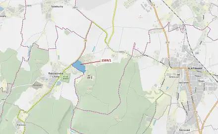 Dražba lesa 59 928 m², Rabštejnská Lhota