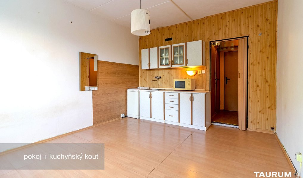 Prodej bytu 1+kk 20 m², Plzeň – náhled fotky 5