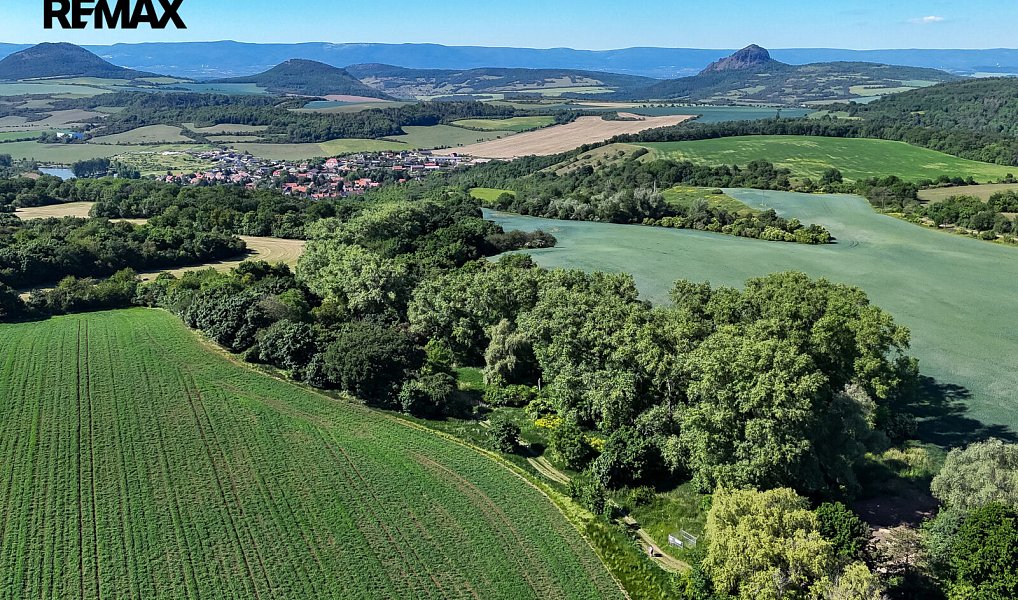 Prodej lesa 5 841 m², Skršín – náhled fotky 3