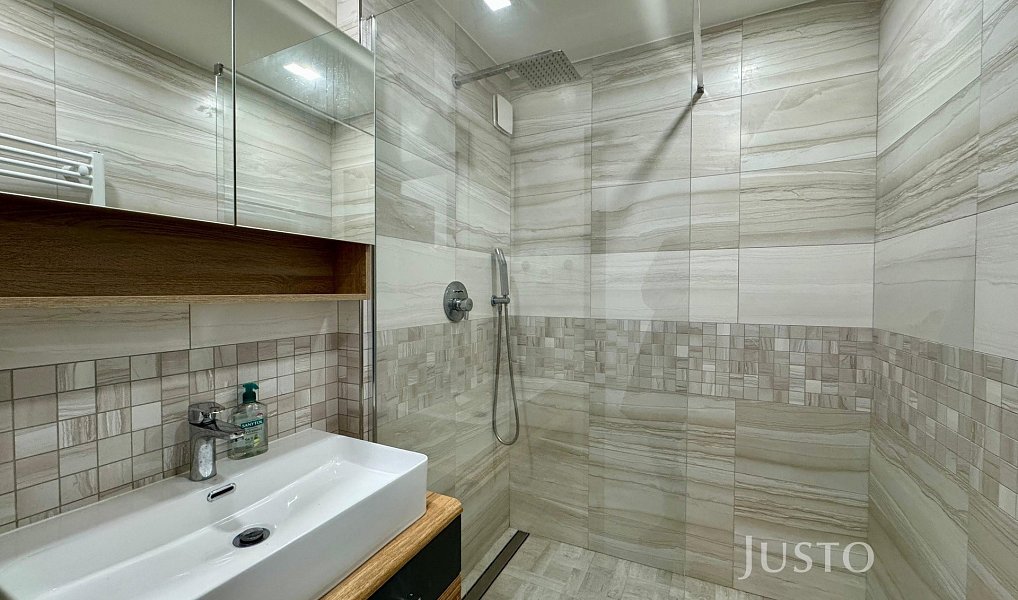 Pronájem bytu 3+kk 58 m², Liberec – náhled fotky 13