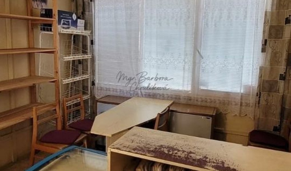Prodej obchodních prostor 20 m², Spálené Poříčí – náhled fotky 11