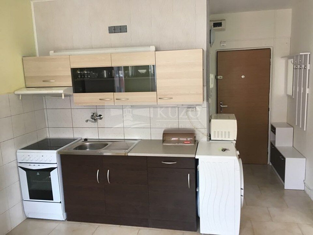 Pronájem bytu 1+1 36 m² – fotografie 3