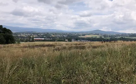 Prodej stavebního pozemku 20 000 m², Šimonovice, okres Liberec