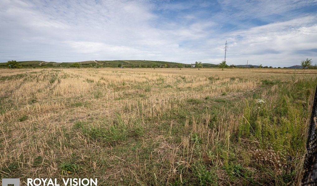 Prodej stavebního pozemku 2 035 m², Březí – náhled fotky 8