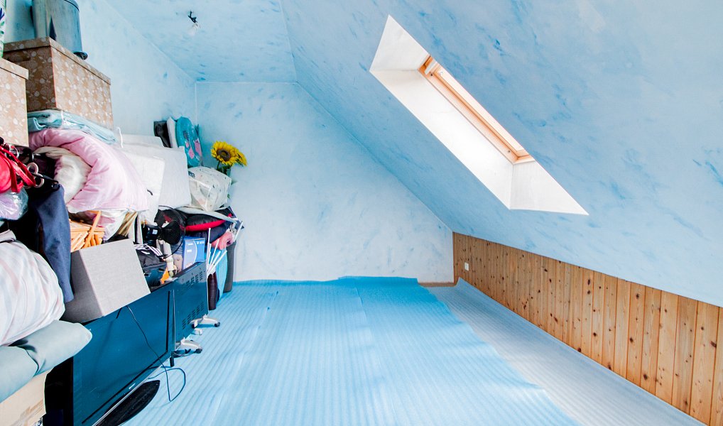 Prodej domu 252 m² s pozemkem 1 091 m², Nepřevázka – náhled fotky 20