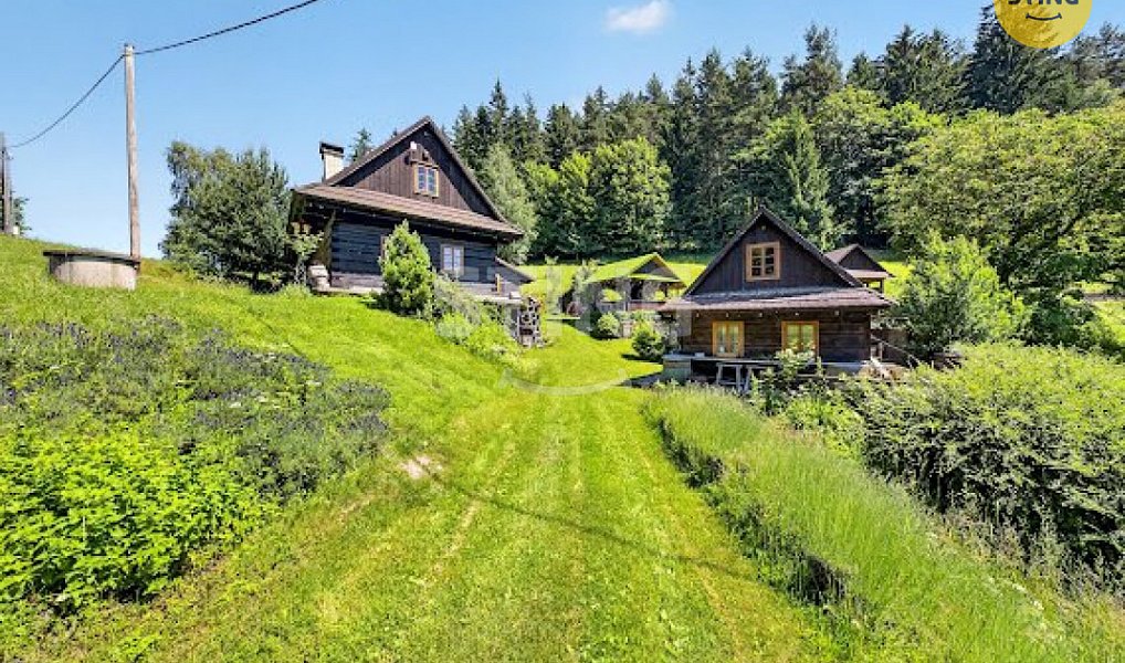 Prodej domu 2 989 m² s pozemkem 17 580 m², Hutisko-Solanec – náhled fotky 5
