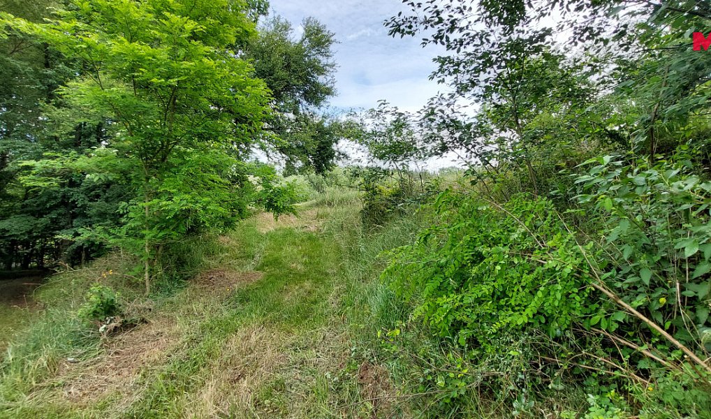 Prodej stavebního pozemku 2 790 m², Milešov – náhled fotky 4