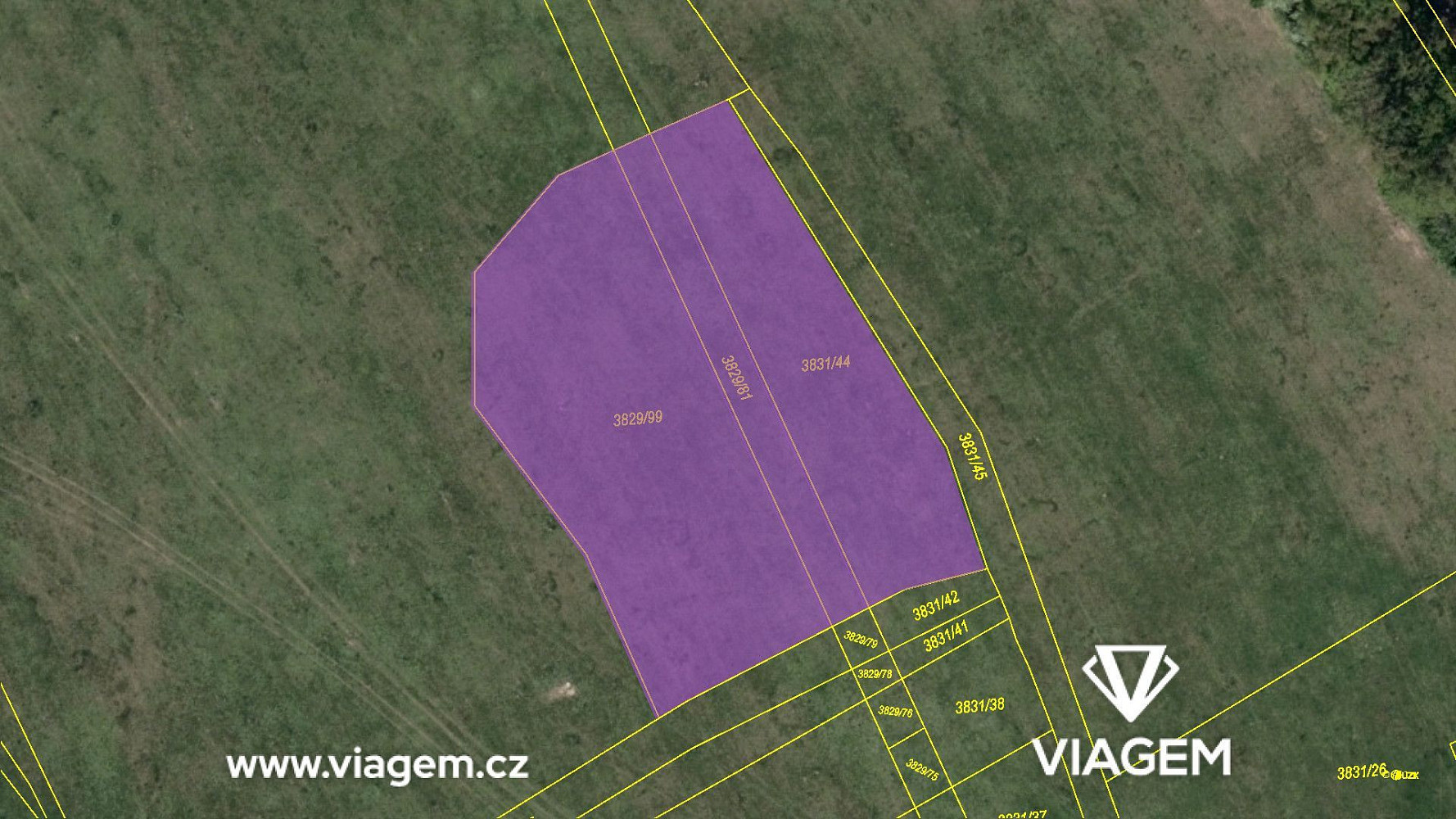 Prodej pole 3 539 m² – fotografie 4
