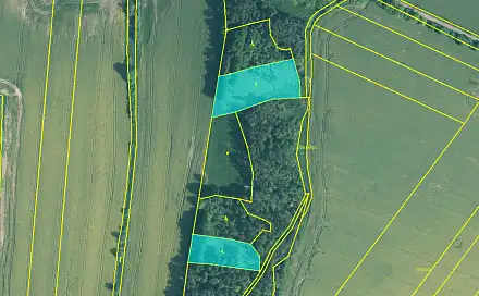 Prodej lesa 5 674 m², Skály, okres Písek