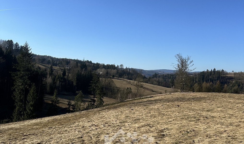 Prodej louky 14 441 m², Bozkov – náhled fotky 5
