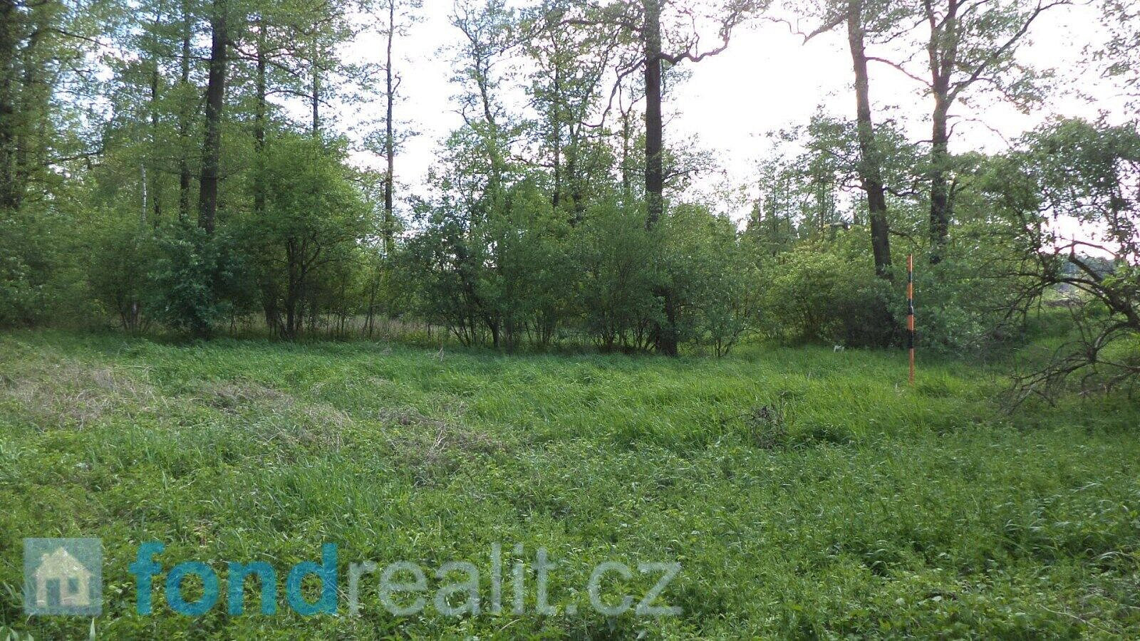 Prodej pozemku 1 844 m² – fotografie 4