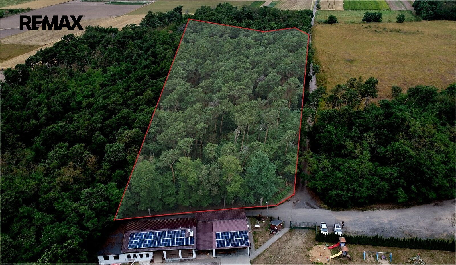 Prodej lesa 16 110 m²